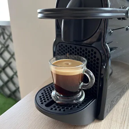 Le Richelieu شقة كوربوفوا